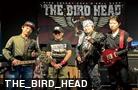 THE_BIRD_HEAD 