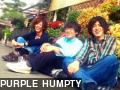 PURPLE HUMPTY